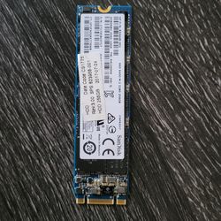 256GB M.2 SATA SSD - Internal Solid State Drive