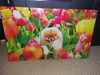 "Flint in the tulips"