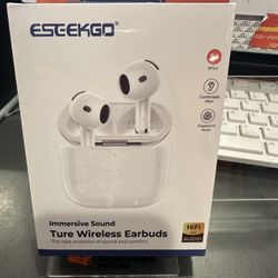 Ture Wireless Earbuds