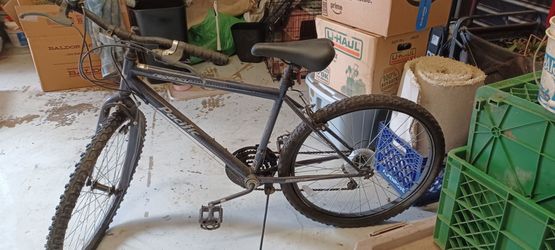 Free 10 speed bicycle