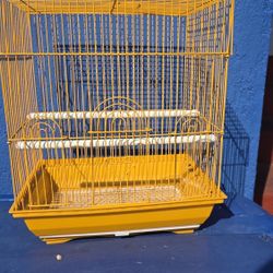 Bird Cage 