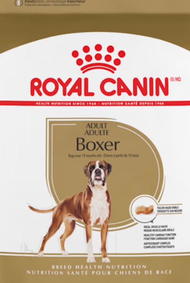 Boxer