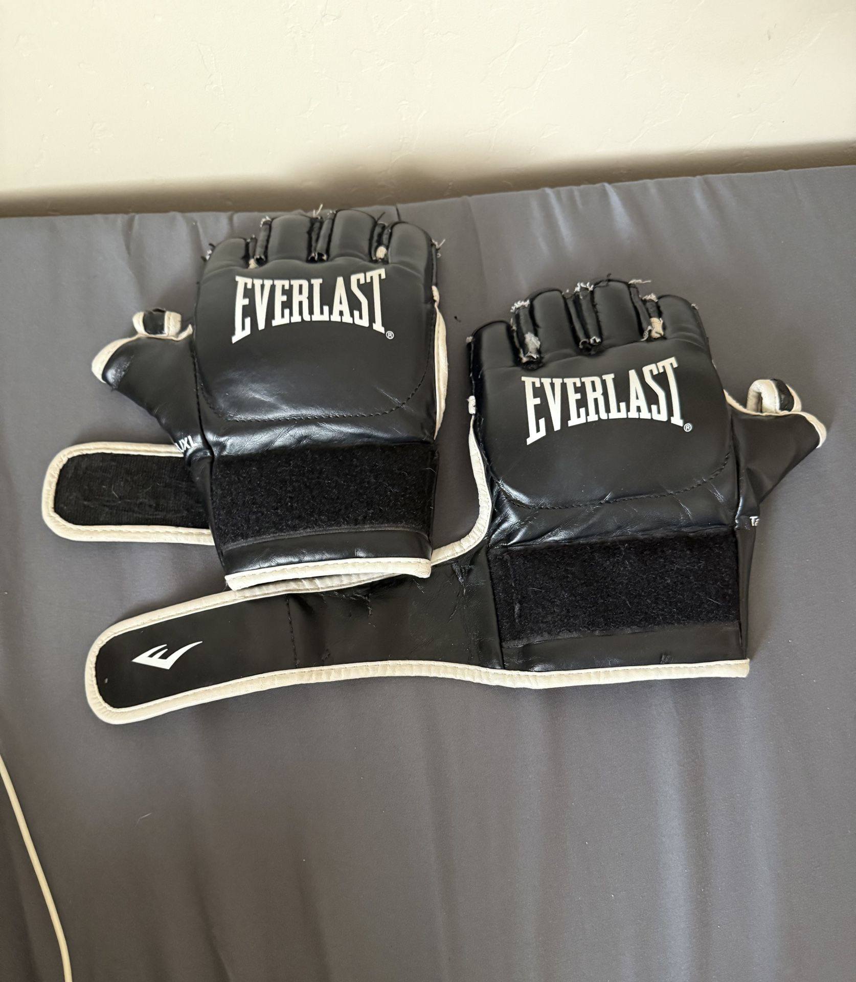 Everlast UFC gloves