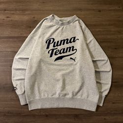 Men’s Grey Puma Team Long sleeve 