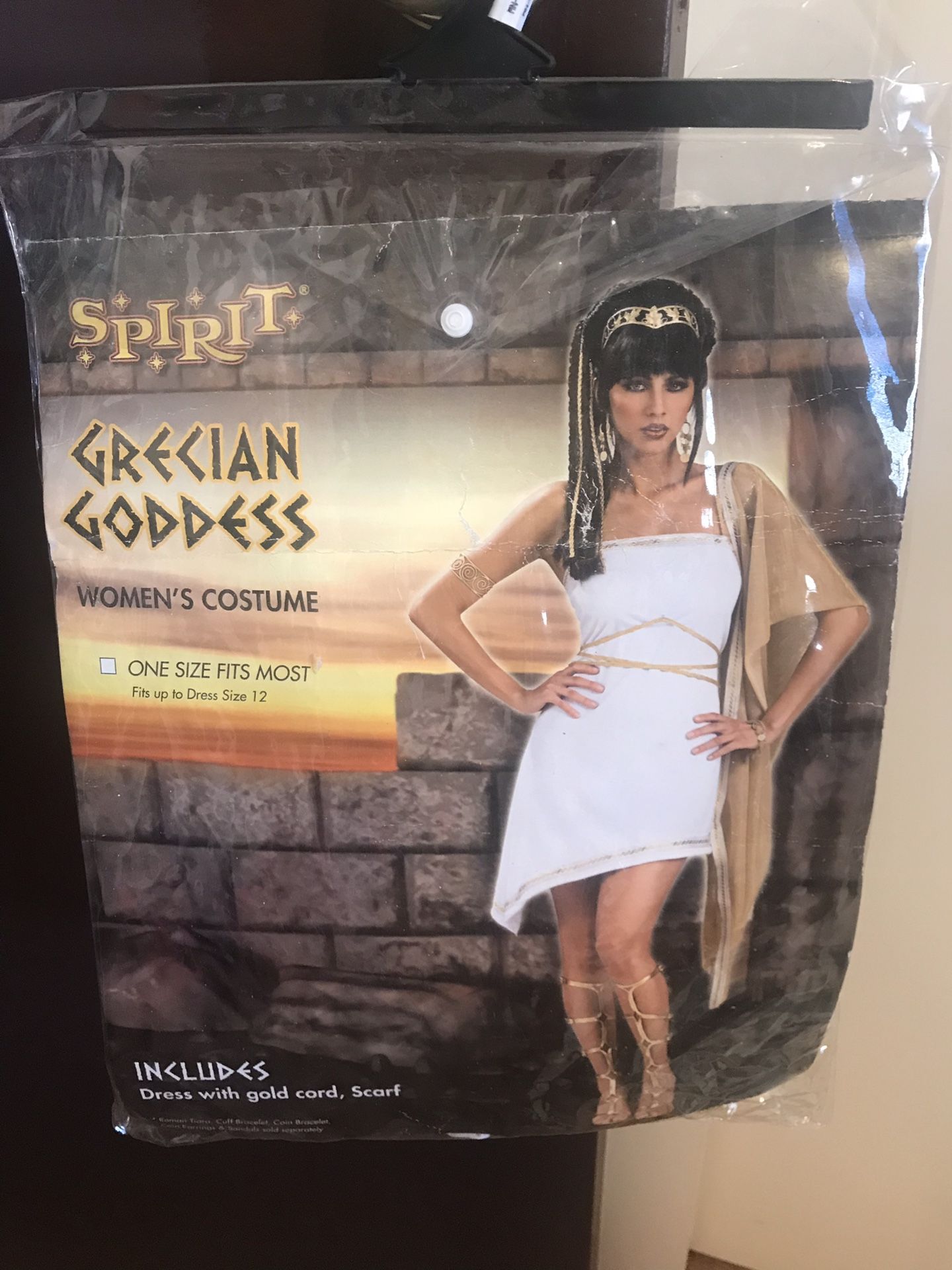 Halloween costume-Goddess