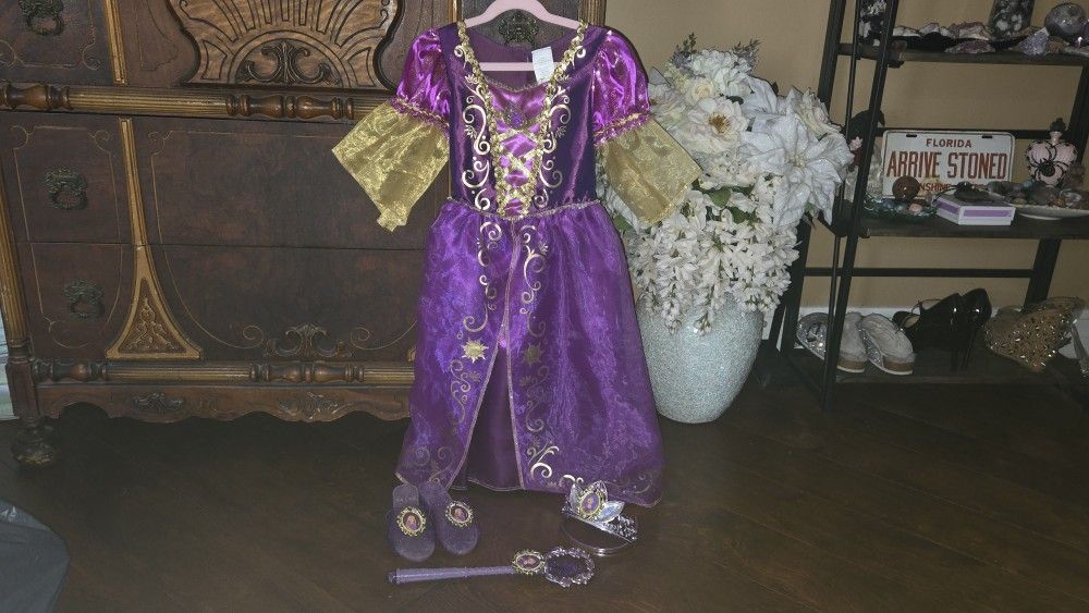 Disney Tangled Dress Up