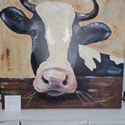 Cow Picture 