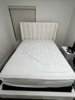 Costco sealy 2024 box spring