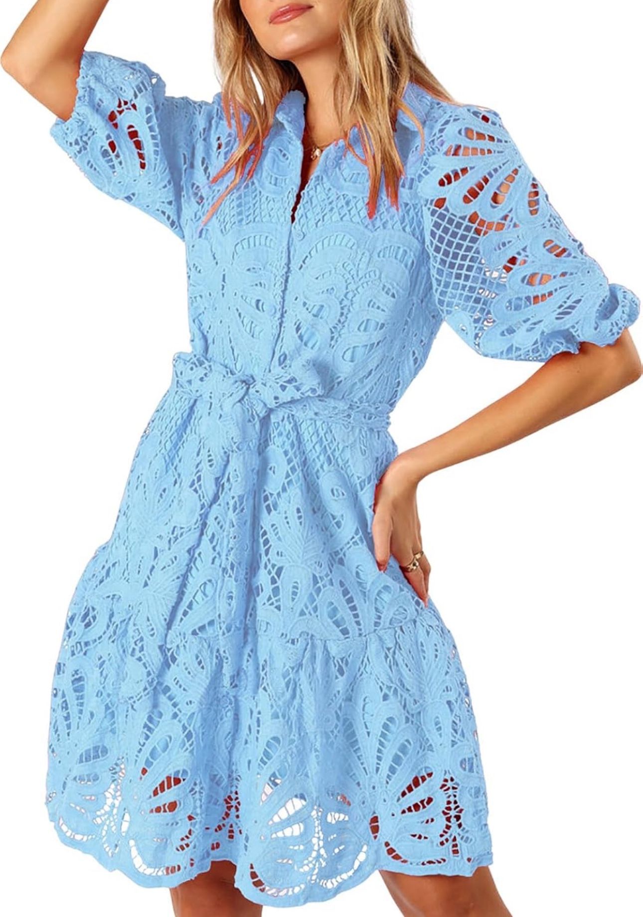 Blue Hollow Out Lace Mini Dress Lantern Sleeve Lapel Button Ruffle Casual Beach Party Dresses