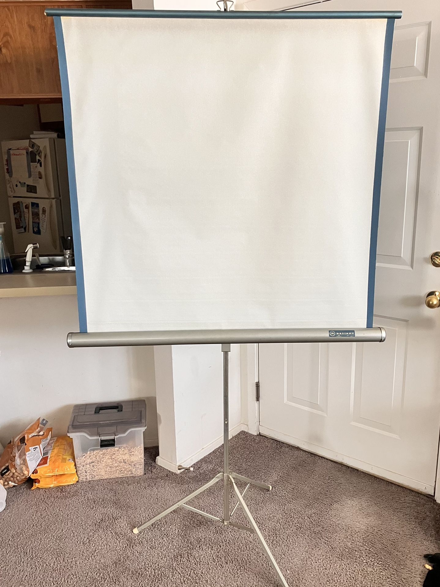 Large 38” X 38” Projector Screen 