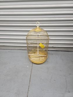Bird Cage