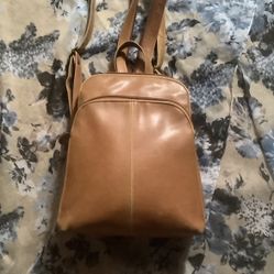 Aldo Pocketbook.   Backpack. Leather  Bag