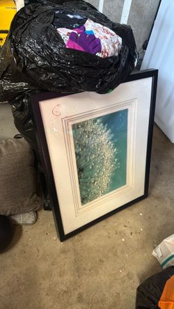 Picture frame