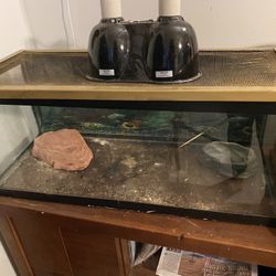 Reptile Tank Includes Accessories 