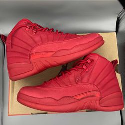 Nike Air Jordan Gym Red 12s (Size 9) 