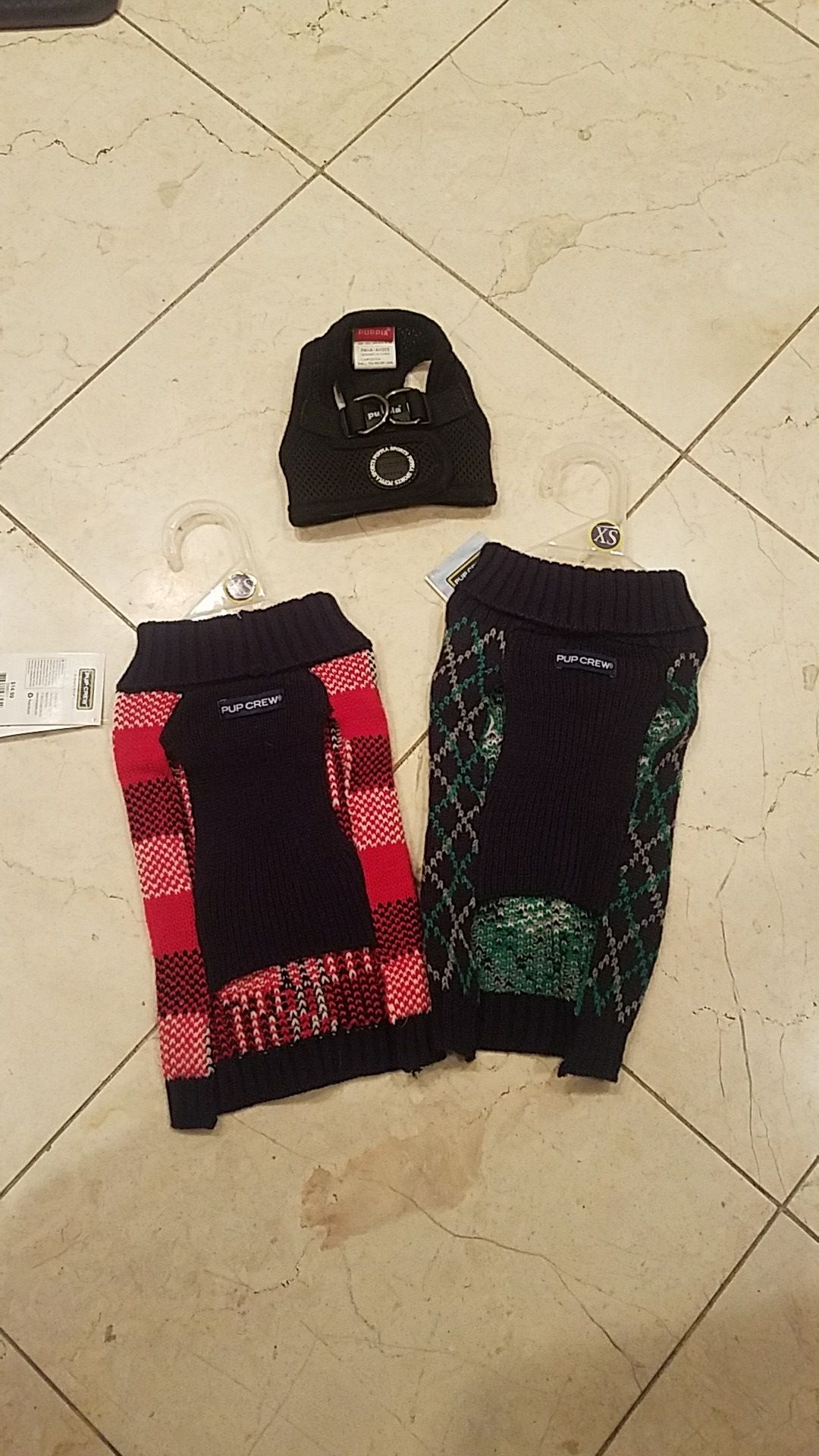 Xs dog sweaters and harness