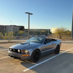 2007 Ford Mustang