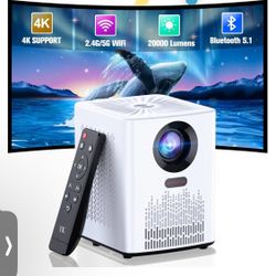 Portable Video Projector