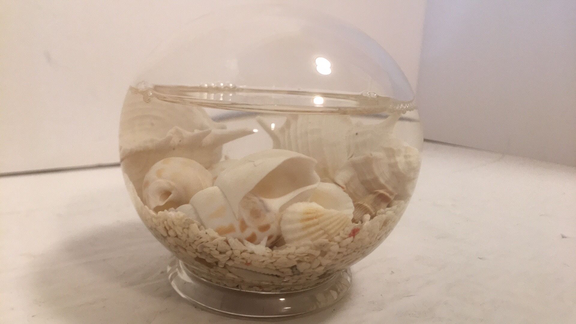 5” Tide pools Globe shake to stir up the water like the tide rushing in and out.