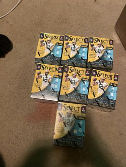 Panini sealed box