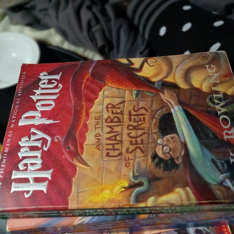 Harry Potter Fan !!! 