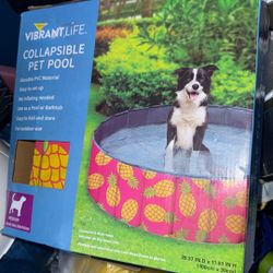 Collapsible Pet Pool