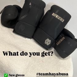 Hayabusa Boxing Gloves 