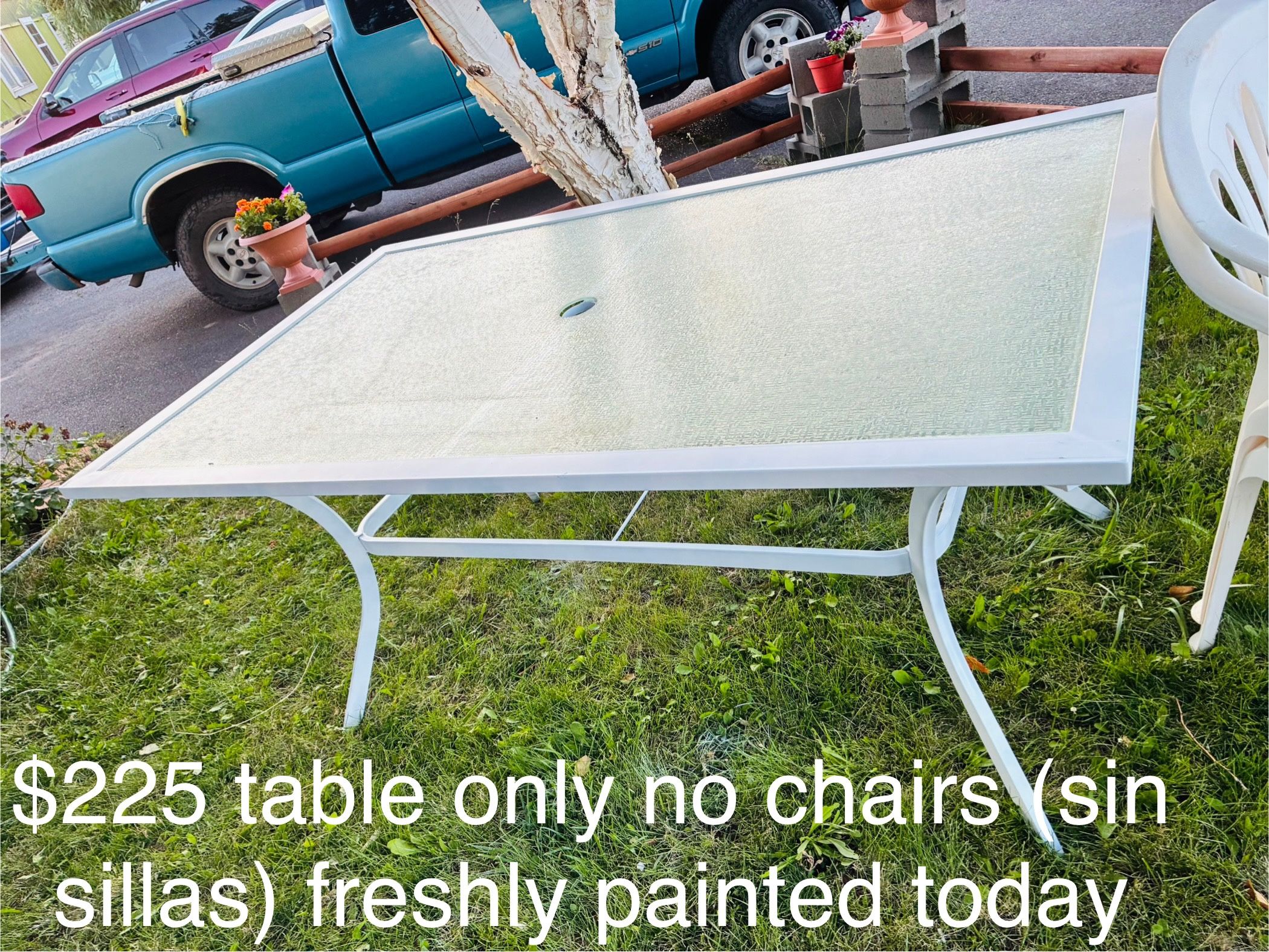 $225- Outside table (no chairs) just brought home today and repainted it today -(the paint alone cost me $45 )- was black now pretty white (still has