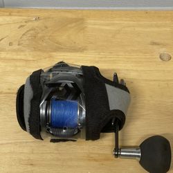 Daiwa Lexa TWS Fishing Reel