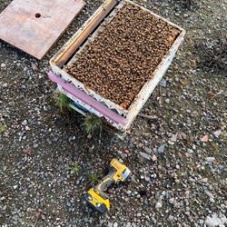 Bee Boxes 
