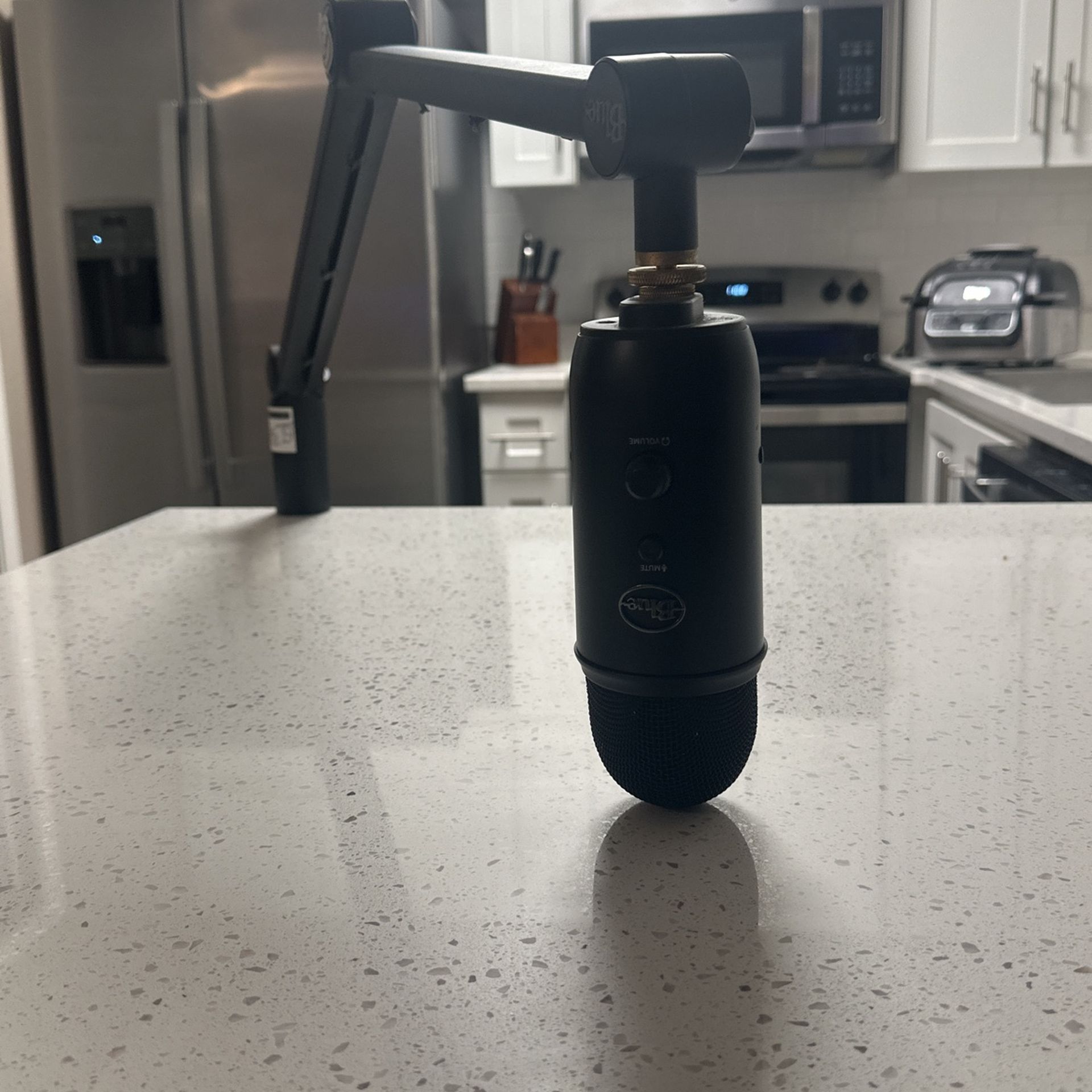 Blue Snow Ball Microphone With Stand