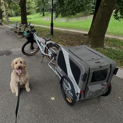 Large/XL Pet Bike Trailer & Stroller