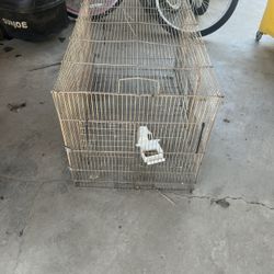 Bird Cage