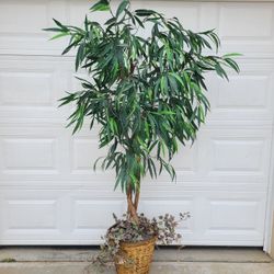 Artficial  Plant  7ft