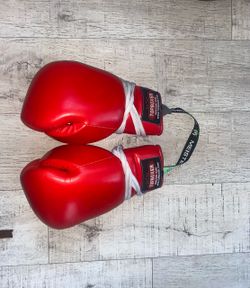 Topboxer win1 boxing gloves