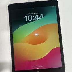 Apple iPad Tablet Gray