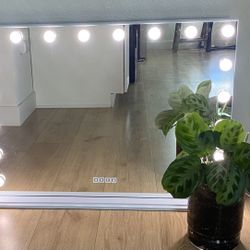 VANITII 32''x23'' Vanity Mirror with Lights Bluetooth Tabletop Wall Mount Metal White