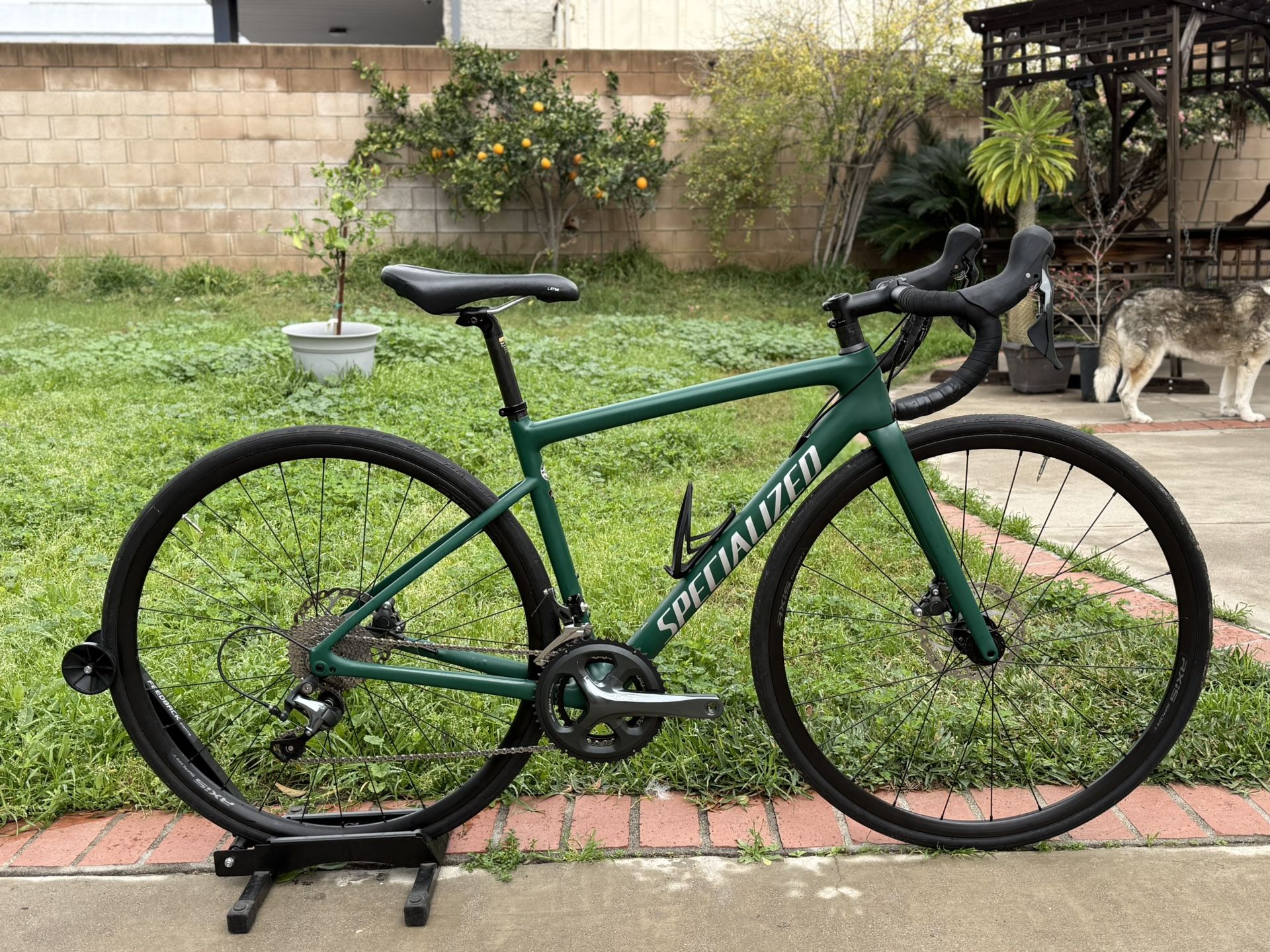 Specialized Tarmac SL6, Size 49