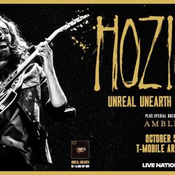 2 Tickets To Hozier $300