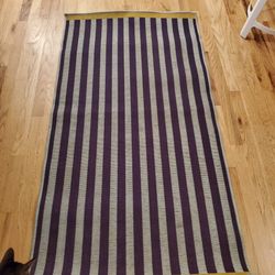 Ikea Indoor/Outdoor Rug