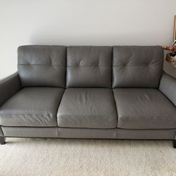 Gray Leather Couch
