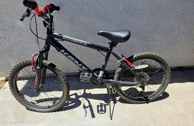 Boys 20inch Bike