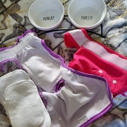 Dog Or Cat Bowls And Holder