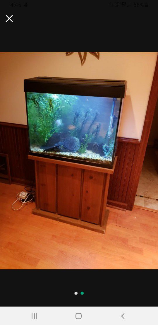 38 gallon tall aquarium with stand FREE