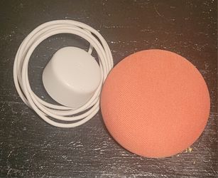 Google Nest Mini