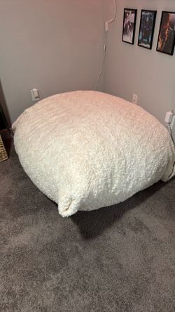 Giant bean bag (40 pounds)