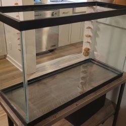29 Gallon Fish Tank Equipment/supplies, Decor, and Food