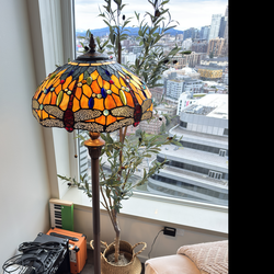 Tiffany lamp (dragonfly theme). Standing lamp. Two bulb.