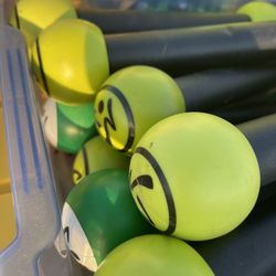 Zumba Maraca Weights