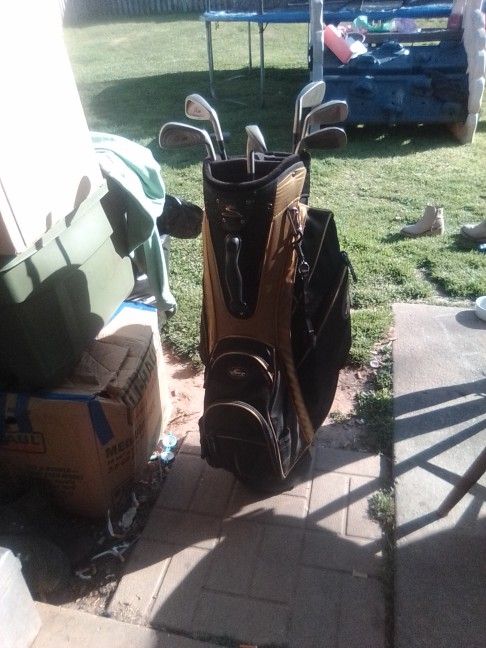 Cobra Golf Club Set